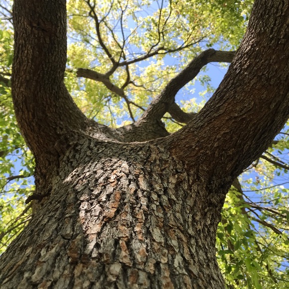 Meet your Posher, Diana - Picture 5 of 6